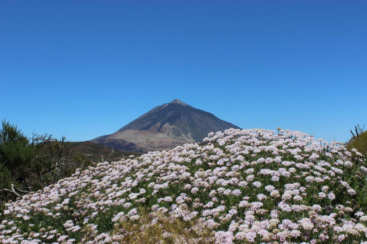 Apt El Perenquen Santa Cruz de Tenerife Zewnętrze zdjęcie